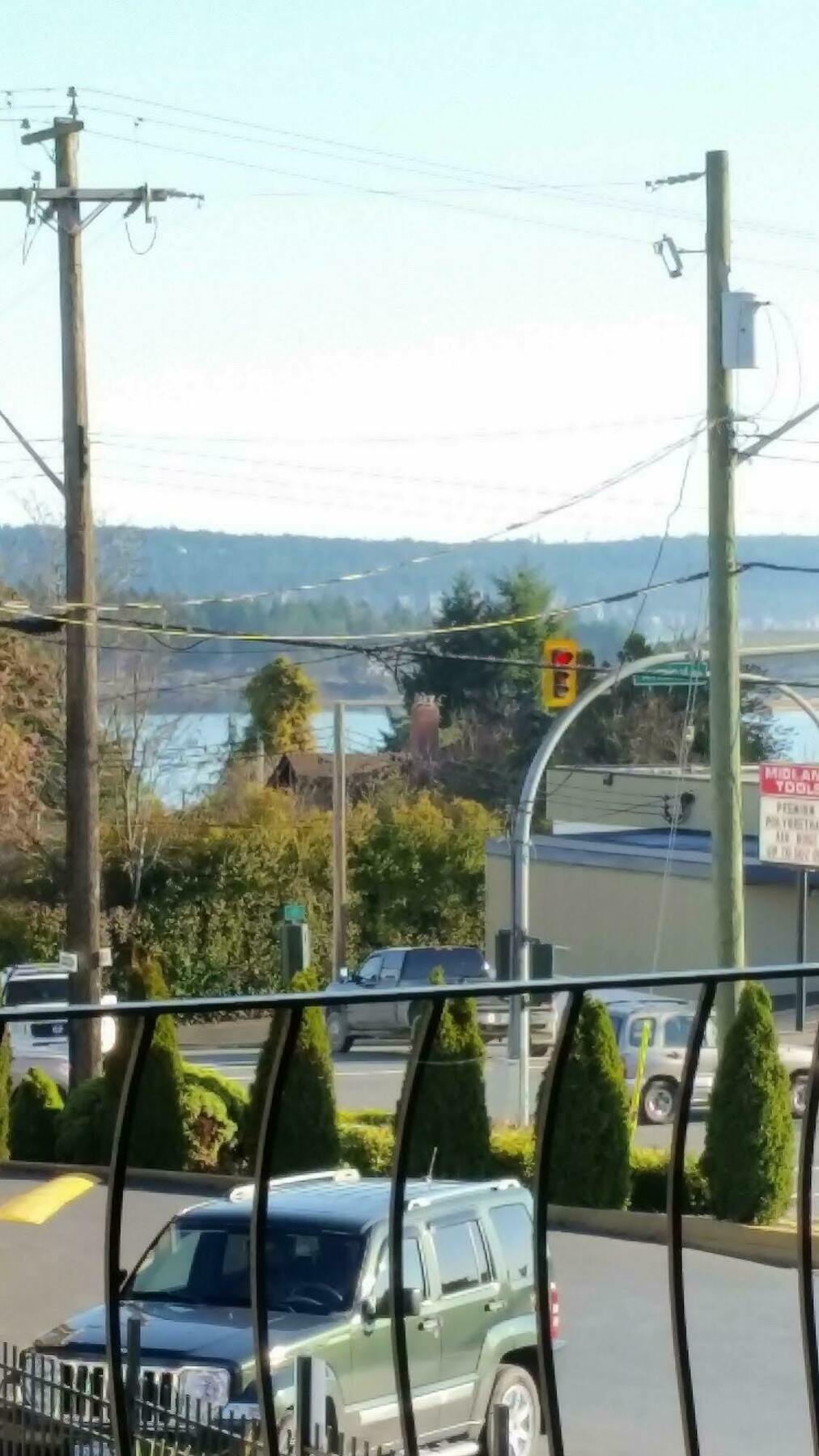 Port-O-Call Inn Nanaimo Eksteriør bilde